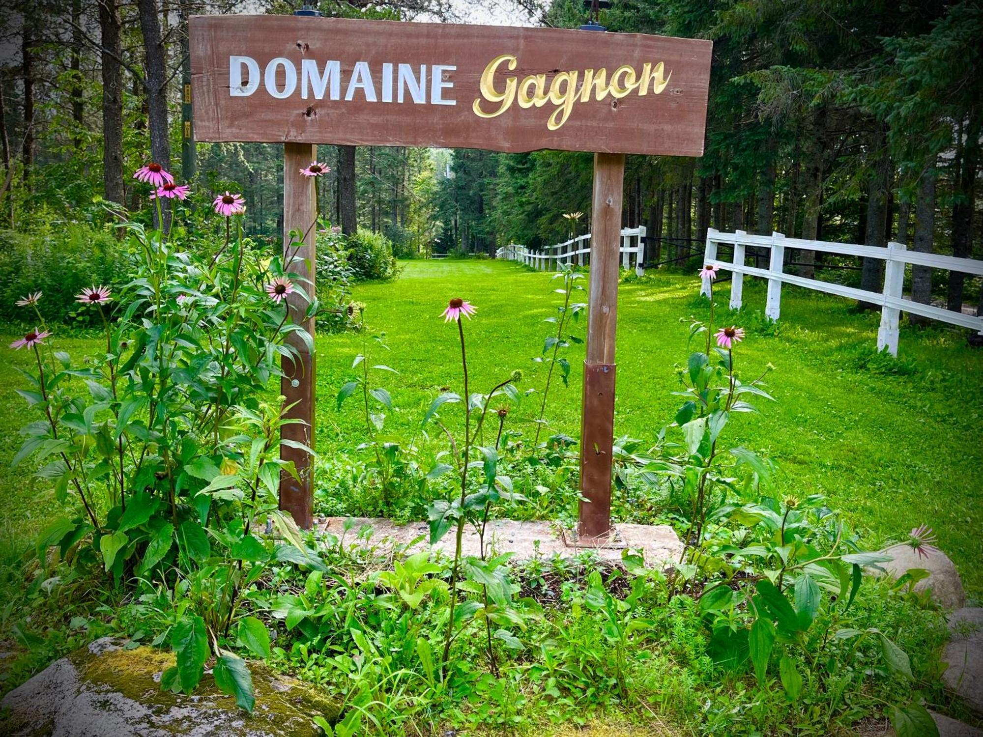 Domaine Gagnon Villa Saint Sebastien Exteriör bild