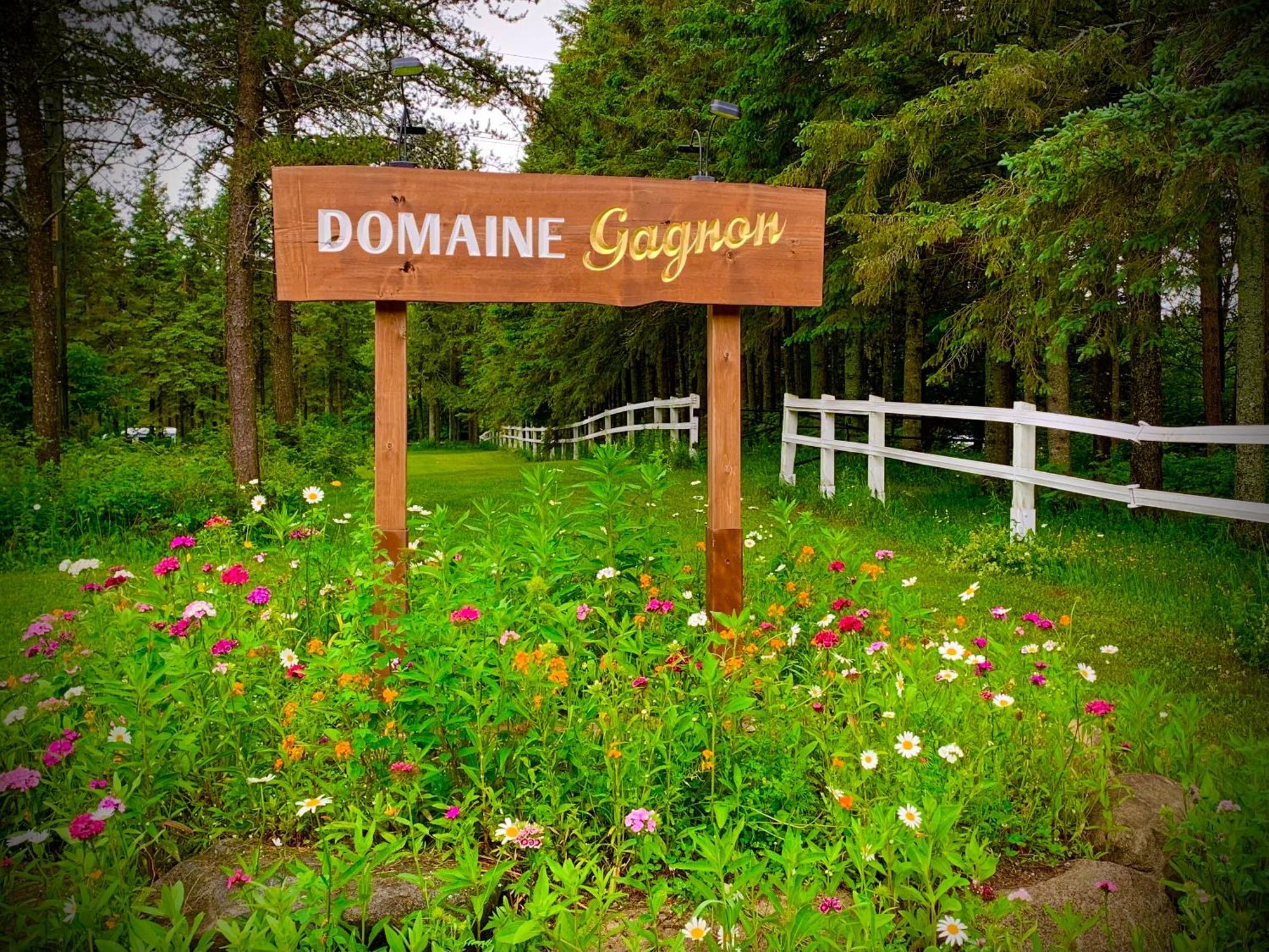 Domaine Gagnon Villa Saint Sebastien Exteriör bild