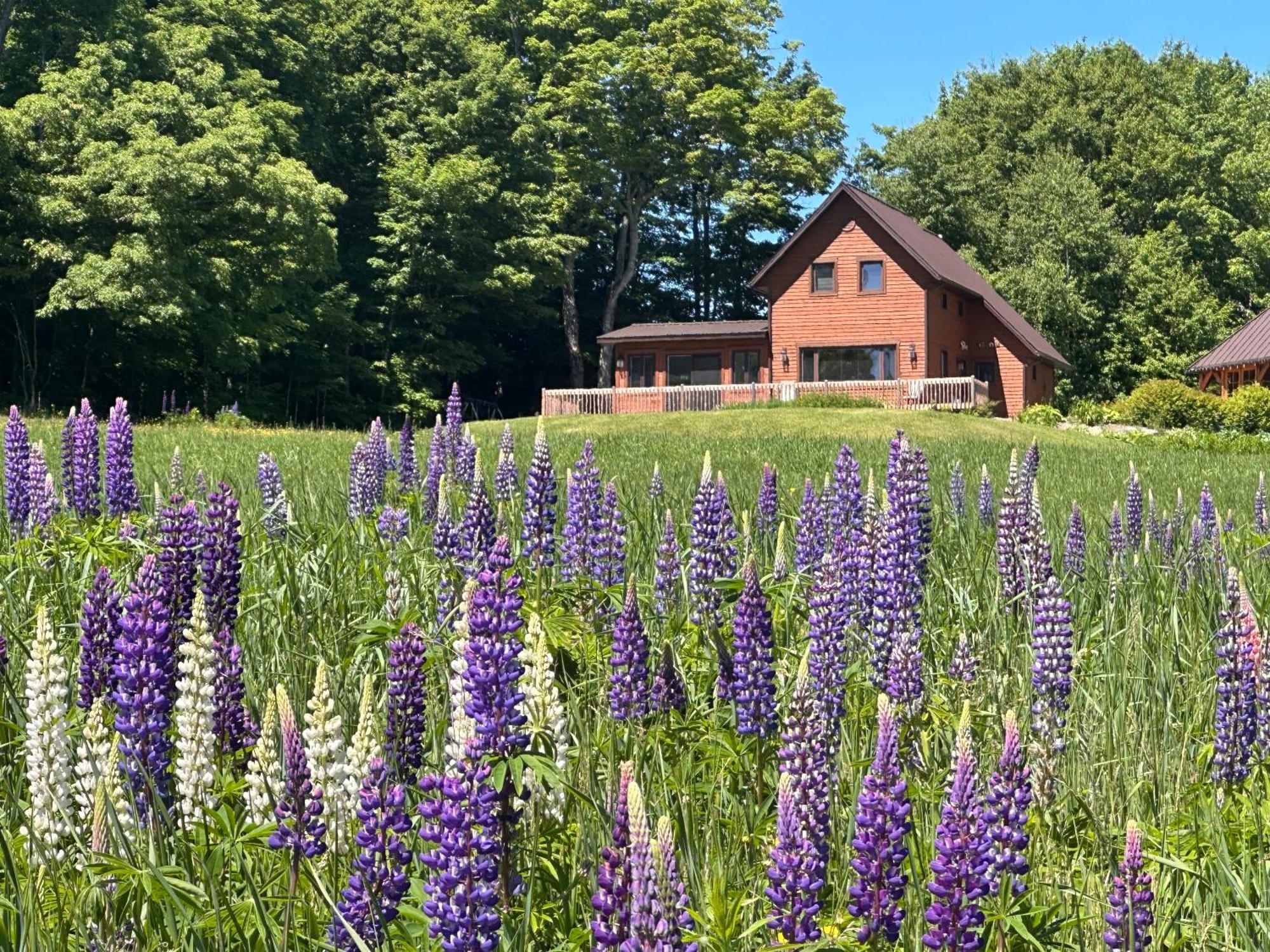 Domaine Gagnon Villa Saint Sebastien Exteriör bild